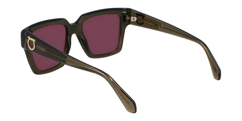 Sunglasses Woman Salvatore Ferragamo  SF2014S 320