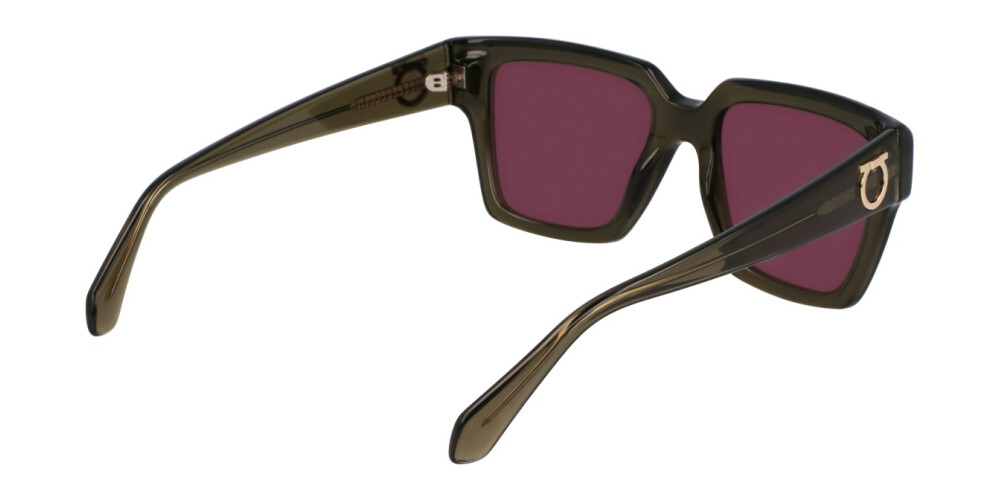 Sunglasses Woman Salvatore Ferragamo  SF2014S 320