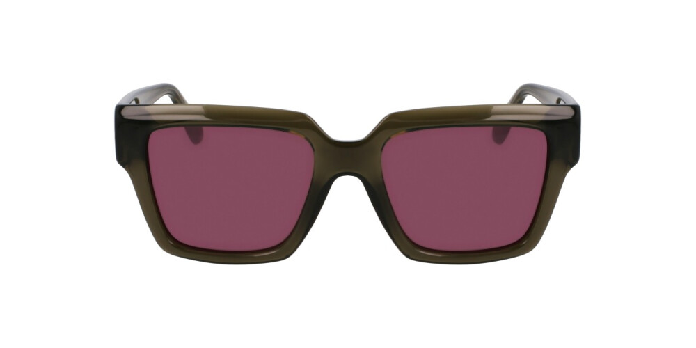 Sunglasses Woman Salvatore Ferragamo  SF2014S 320
