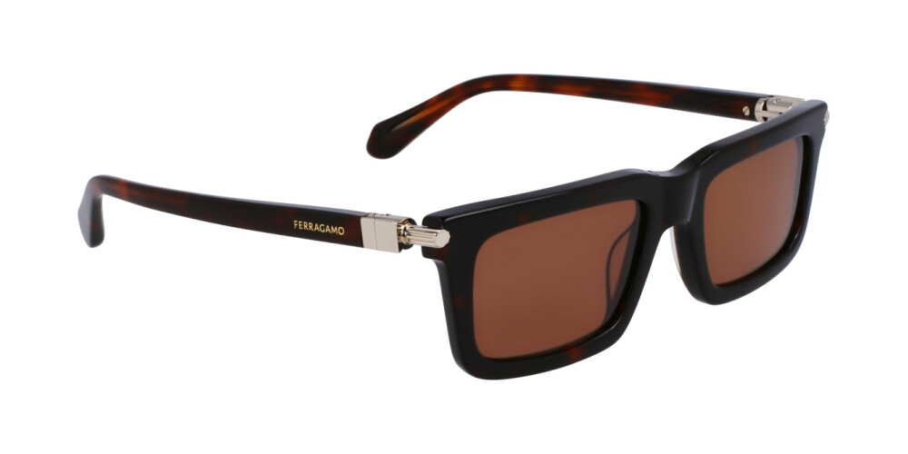 Sunglasses Man Salvatore Ferragamo  SF2015S 242