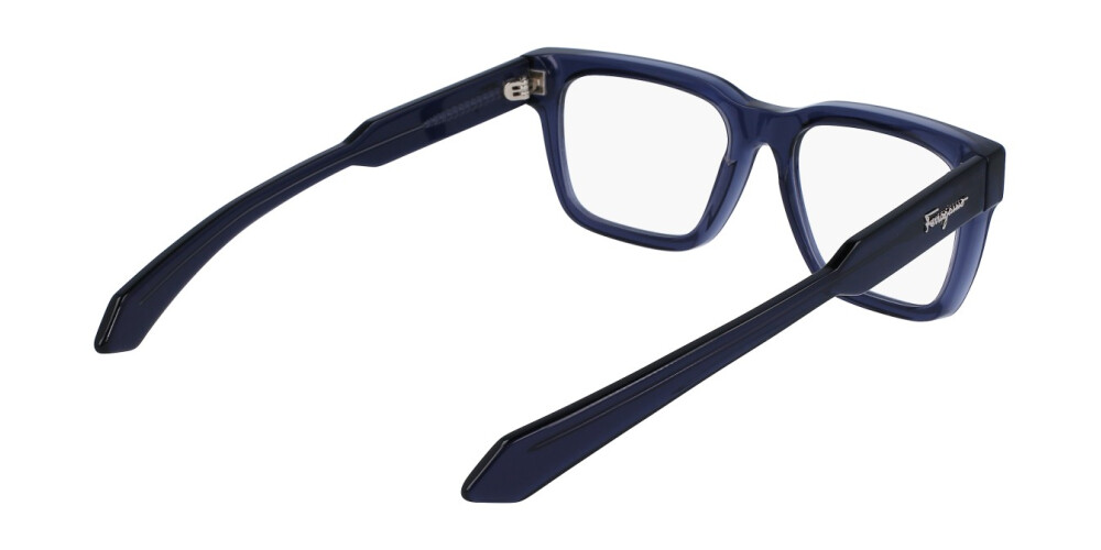 Eyeglasses Man Salvatore Ferragamo  SF2941 456