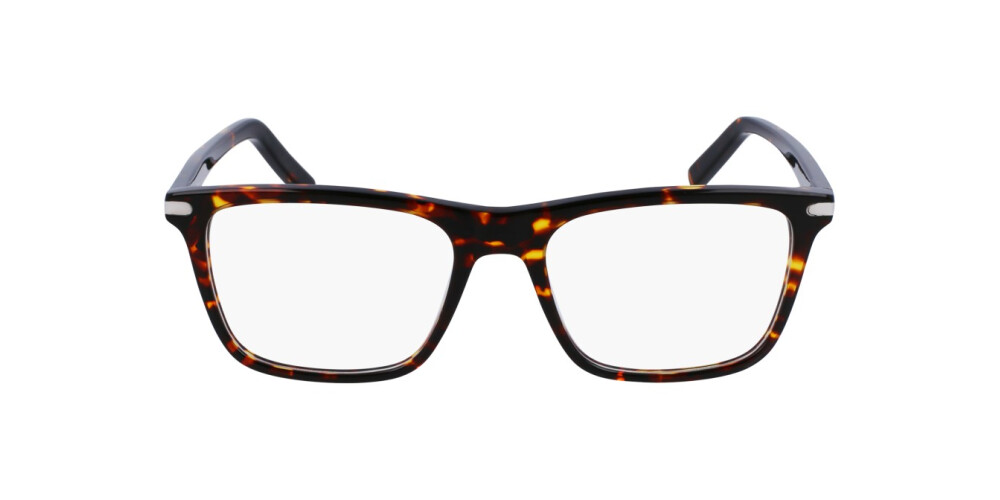 Eyeglasses Man Salvatore Ferragamo  SF2959 219