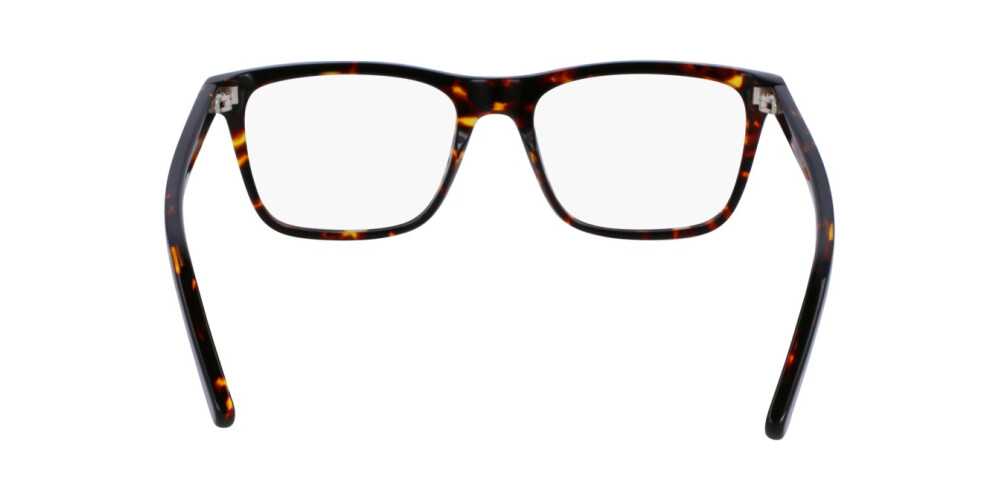 Eyeglasses Man Salvatore Ferragamo  SF2959 219