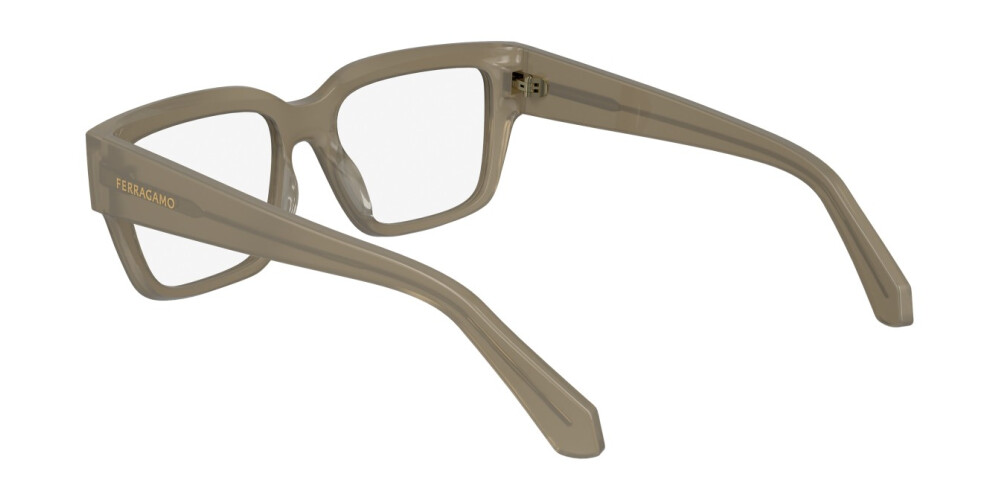 Eyeglasses Woman Salvatore Ferragamo  SF2975 708