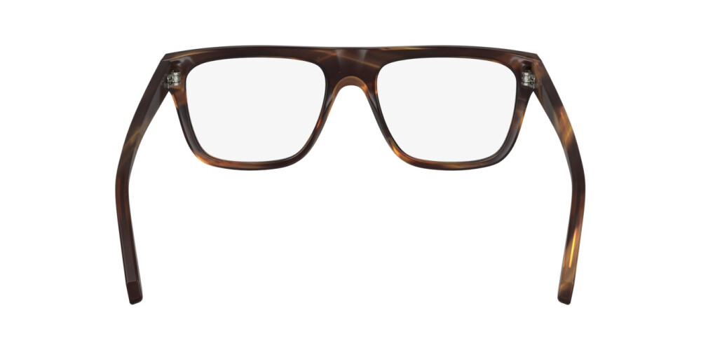 Eyeglasses Man Salvatore Ferragamo  SF2997 216