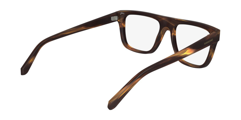 Eyeglasses Man Salvatore Ferragamo  SF2997 216