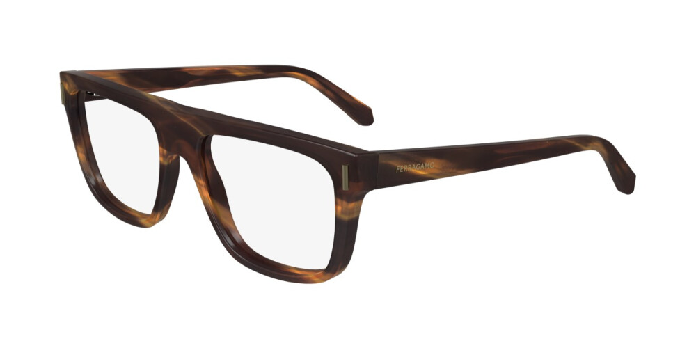 Eyeglasses Man Salvatore Ferragamo  SF2997 216