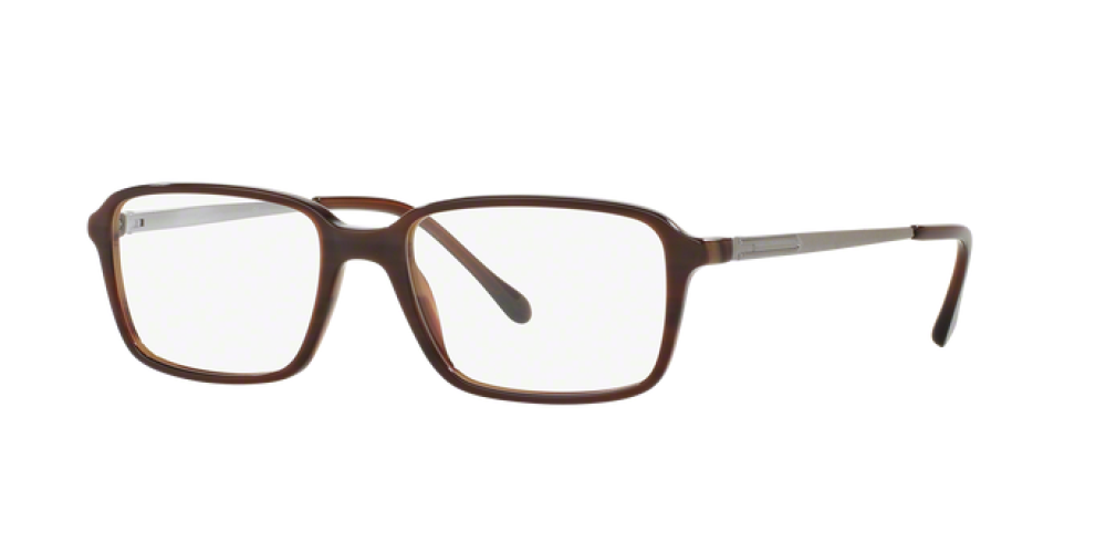 Eyeglasses Man Sferoflex  SF 1144 C595