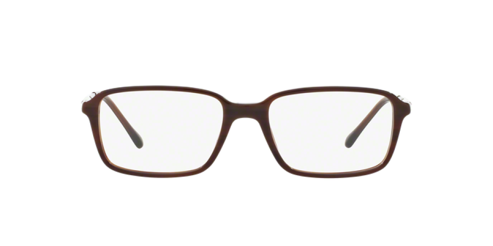 Eyeglasses Man Sferoflex  SF 1144 C595