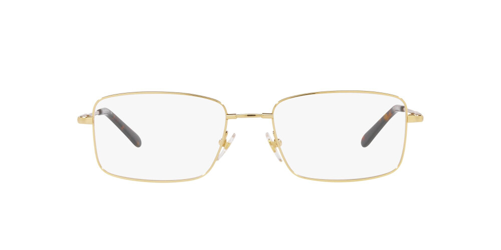 Eyeglasses Man Sferoflex  SF 9005 3003