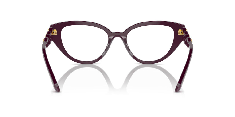 Eyeglasses Woman Swarovski  SK 2024 1044