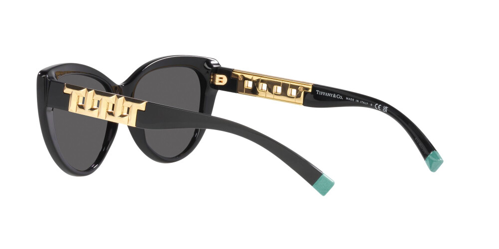 Tiffany TF 4196 (8001S4) TF41968001S4 Sunglasses Woman | Shop 