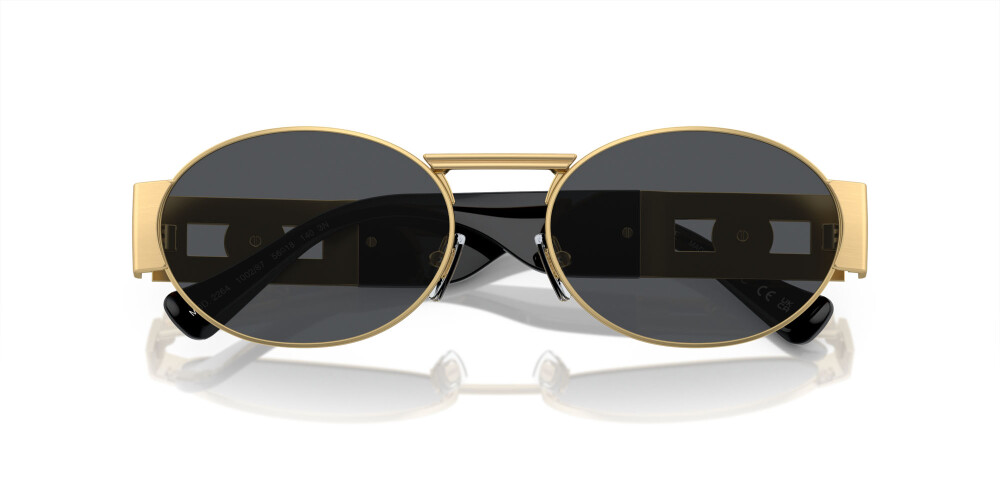Sunglasses Man Woman Versace  VE 2264 100287