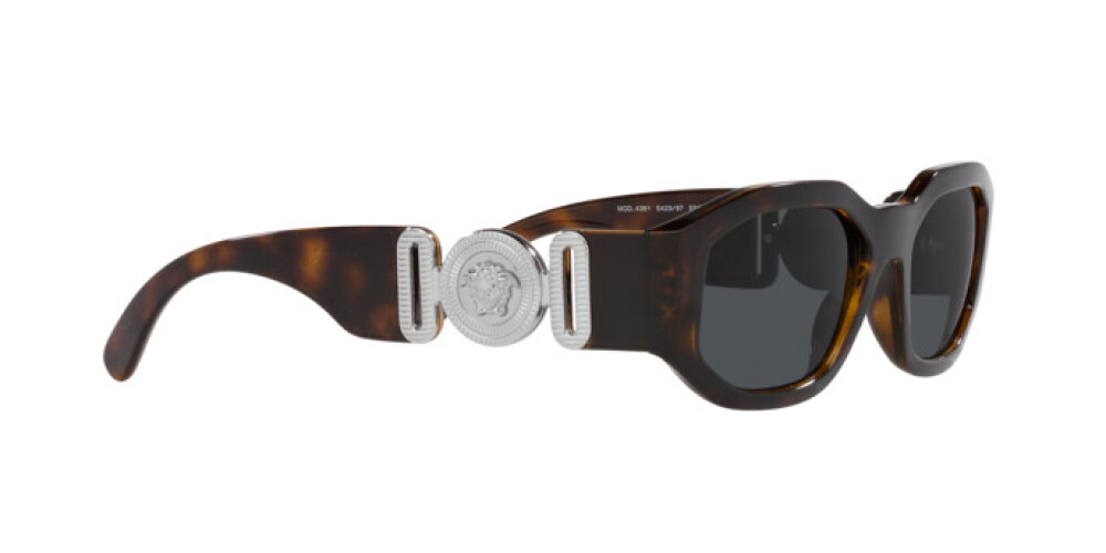 Sunglasses Man Versace  VE 4361 542387