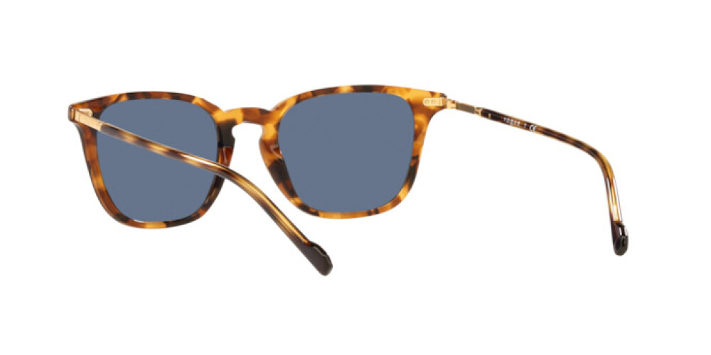 Sunglasses Man Vogue  VO 5431S 281980