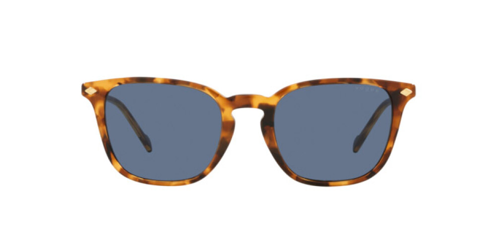 Sunglasses Man Vogue  VO 5431S 281980