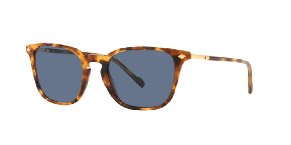 Sunglasses Man Vogue  VO 5431S 281980