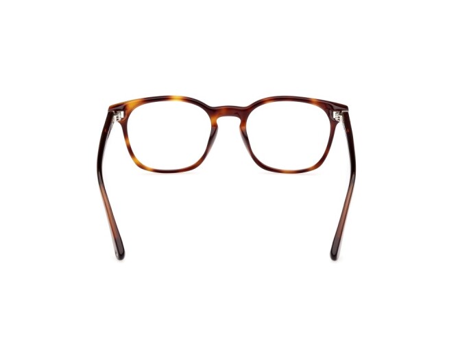 Eyeglasses Man Web  WE5410 052