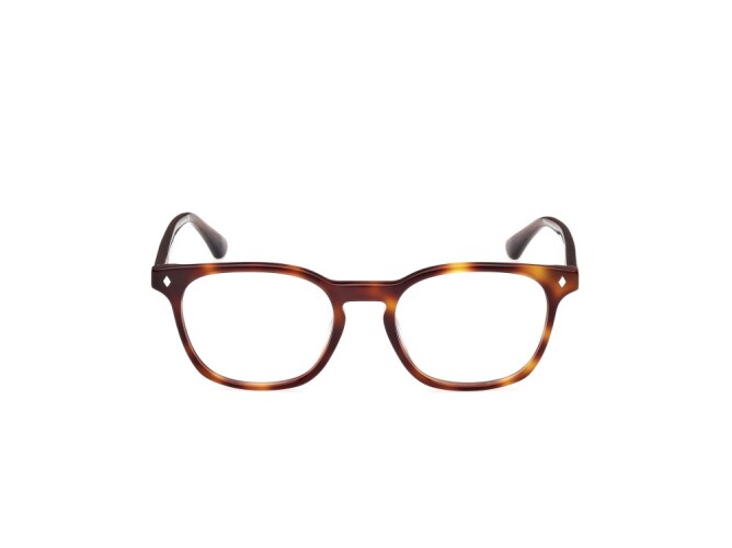 Eyeglasses Man Web  WE5410 052