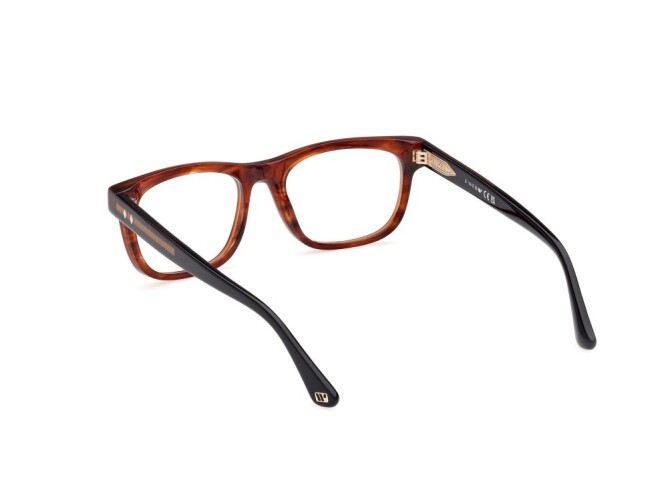 Eyeglasses Man Web  WE5422 047