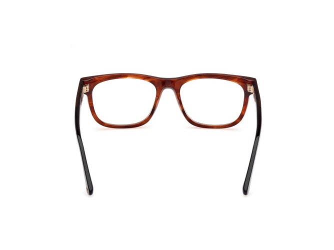 Eyeglasses Man Web  WE5422 047