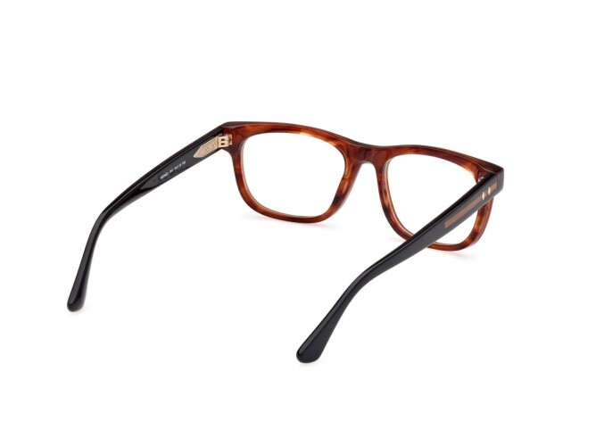 Eyeglasses Man Web  WE5422 047