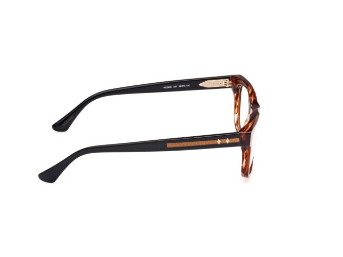 Eyeglasses Man Web  WE5422 047