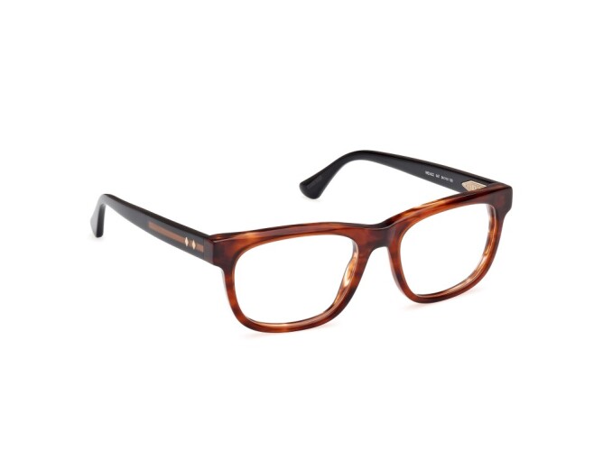 Eyeglasses Man Web  WE5422 047