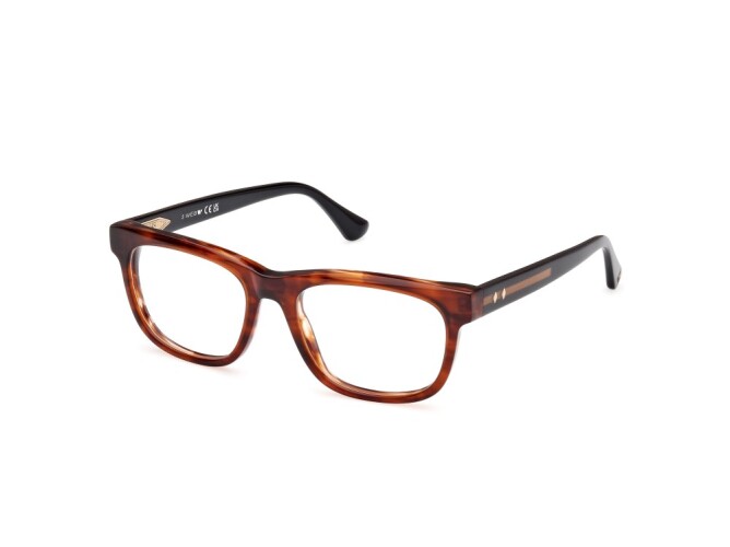 Eyeglasses Man Web  WE5422 047