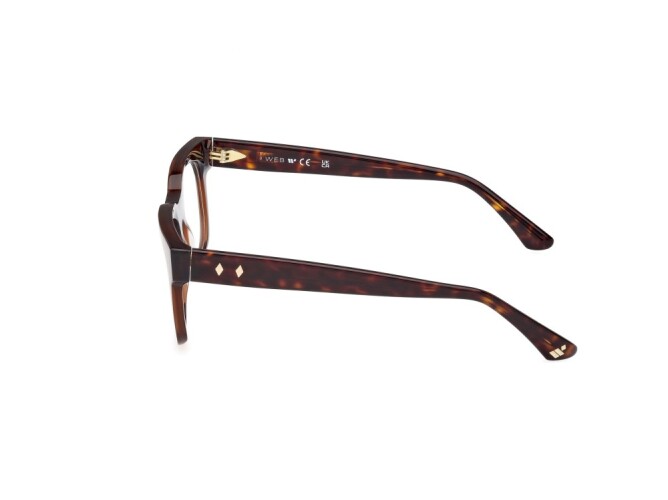 Eyeglasses Man Web  WE5425 048