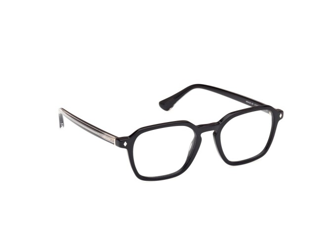 Eyeglasses Man Web  WE5428 001