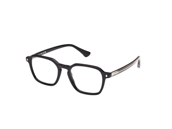 Eyeglasses Man Web  WE5428 001