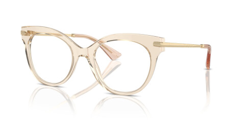 Dolce & Gabbana DG 3392 (3432)