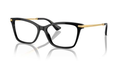 Dolce & Gabbana DG 3393 (501)