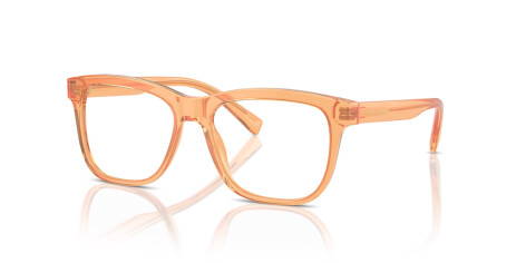 Dolce & Gabbana DX 3356 (3442)