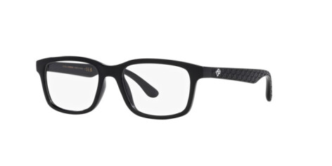 Dolce & Gabbana DX 5097 (501)