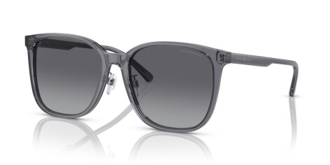 Emporio Armani EA 4206D (5029T3)