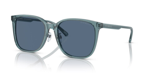 Emporio Armani EA 4206D (593480)