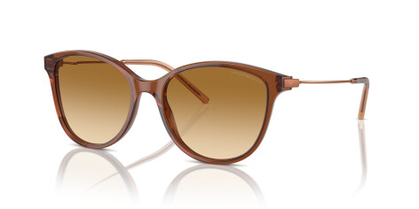 Emporio Armani EA 4220 (61103B)