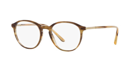 Giorgio Armani AR 7237 (6002)