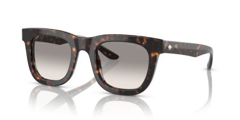 Giorgio Armani AR 8171 (587932)