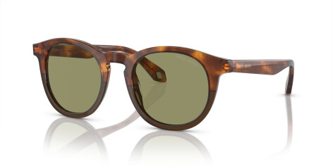 Giorgio Armani AR 8192 (598814)