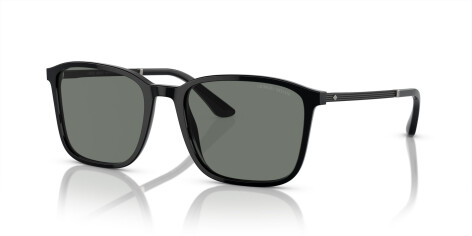 Giorgio Armani AR 8197 (5001/1)