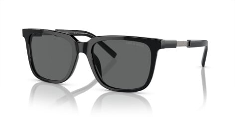 Giorgio Armani AR 8202U (587587)