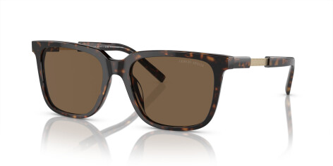 Giorgio Armani AR 8202U (587973)