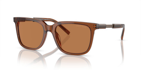 Giorgio Armani AR 8202U (604973)