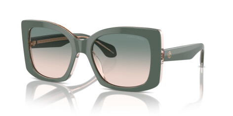 Giorgio Armani AR 8208U (60762C)