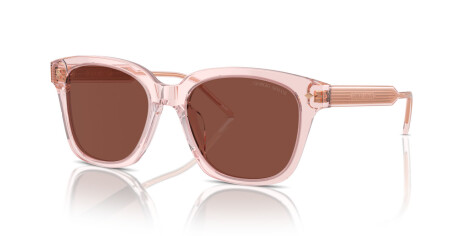 Giorgio Armani AR 8210U (6073C5)