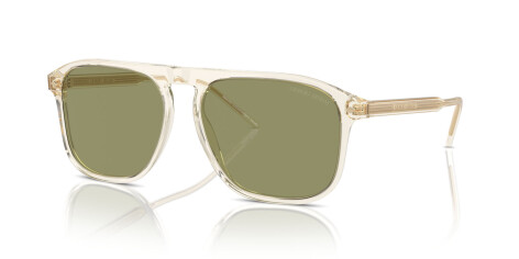 Giorgio Armani AR 8212 (607714)