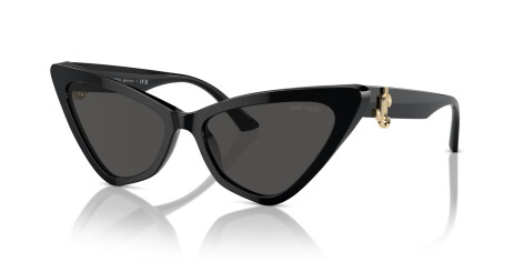 Jimmy Choo JC 5008 (500087)